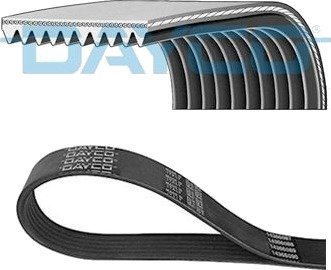 Multireim DAYCO 10PK1950HD