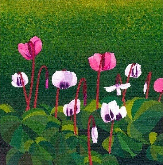 Hefte Med Konvolutt Ac10132 Cyclamen