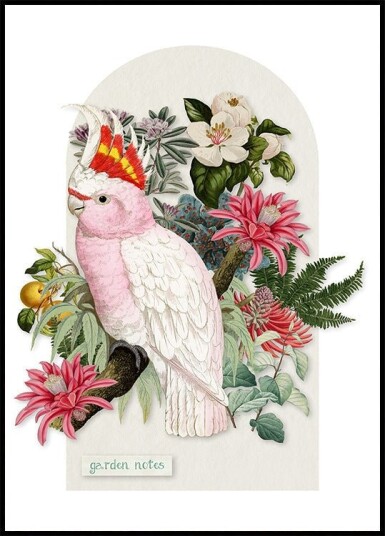 Inca Cockatoo Collage Remix Plakat Plakat / 30x40cm
