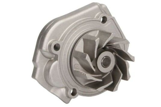 THERMOTEC D1F076TT Vannpumpe