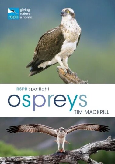 Rspb Spotlight Ospreys Av Tim (Author) Mackrill Rspb Spotlight Ospreys Av Tim (Author) Mackrill
