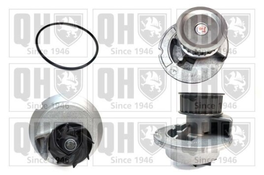QUINTON HAZELL QCP3386 Vannpumpe