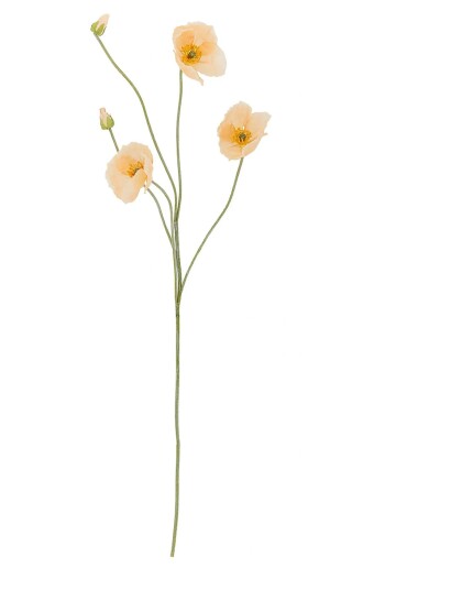 Bloomingville Poppy Stem Cream H110CM