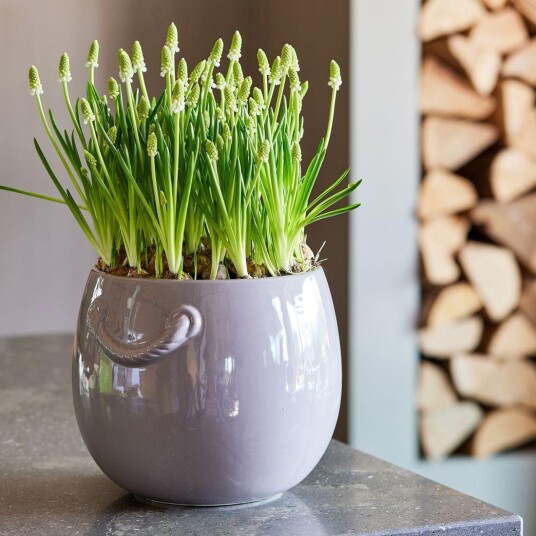 Riviera Maison Yorkville Blomsterkrukke Brun H17cm