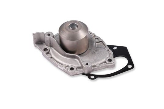 Vannpumpe HEPU P955