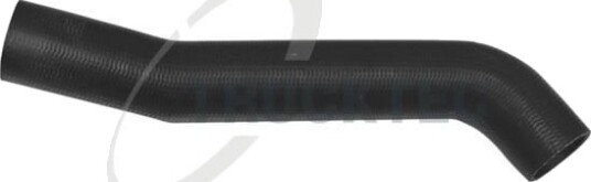 TRUCKTEC AUTOMOTIVE 02.40.125 Radiatorslange