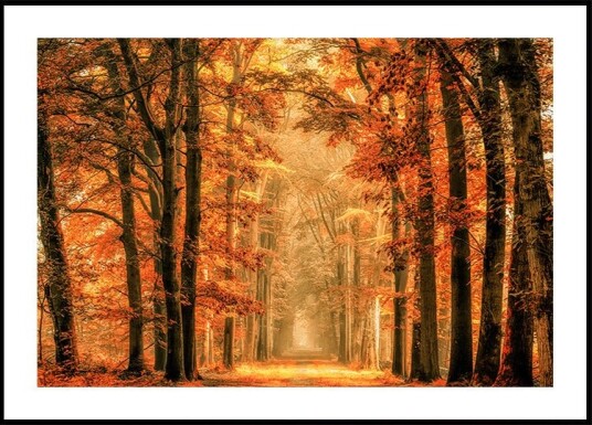 Exit the Portal Plakat Plakat / 30x40cm