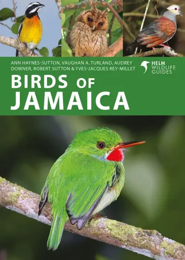 Birds of Jamaica Helm Wildlife Guides