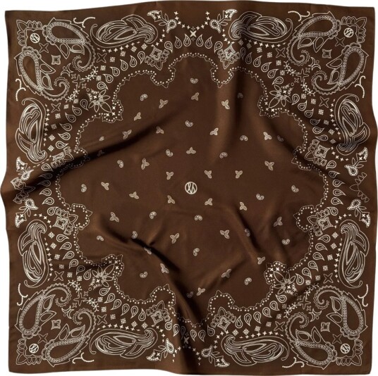 Le Scarf Paisley silk scarf OS brun dame