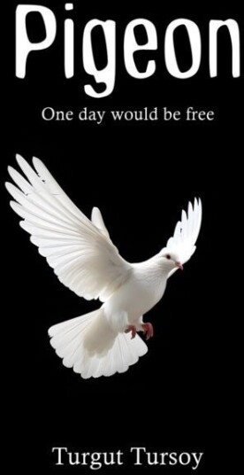 Pigeon