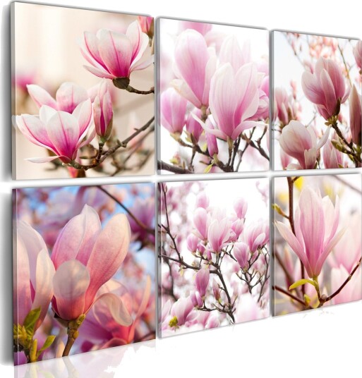 Bilde Southern Magnolias 60x40 Artgeist sp. z o. o.