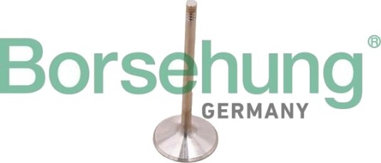Borsehung B10348 Stempelringsett