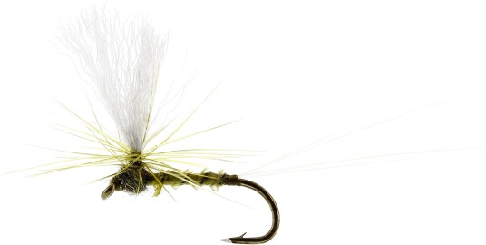 Flies Baetis Dun Biot Olive Olive