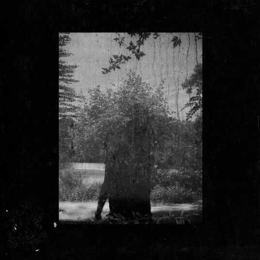 Grouper  Ruins  LP/Vinyl