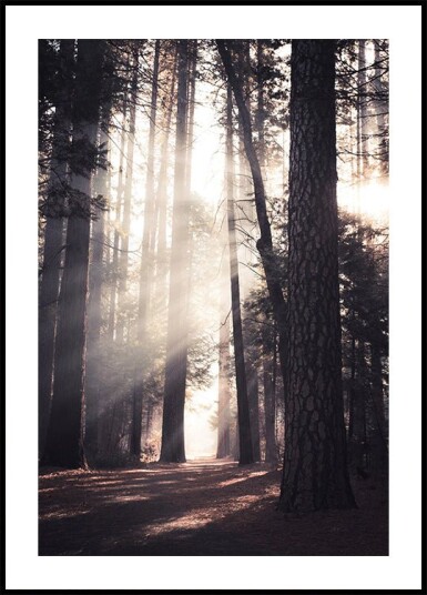 Yosemite Valley Plakat Plakat / 40x50cm Yosemite Valley Plakat Plakat / 40x50cm