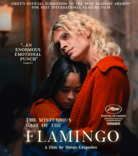 The Mysterious Gaze of the Flamingo 2025 Bluray