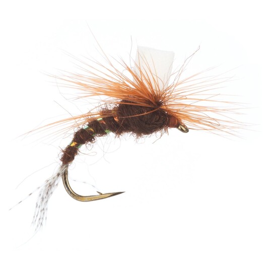 Arcticflies Tørrflue Ephemerella