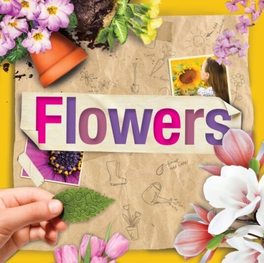 Flowers Flowers