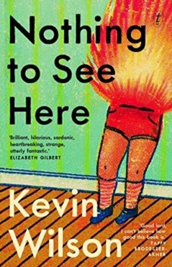 Nothing To See Here Av Kevin Wilson