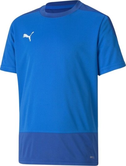 PUMA Trenings T Skjorte teamGOAL 23 Blå/Grå Barn størrelse YM/140 cm