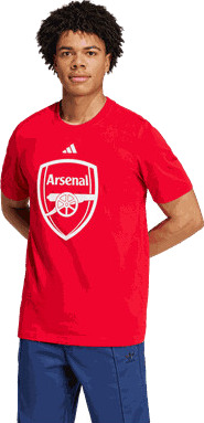 Adidas Arsenal Dna Graphic Tee t-skjorte herre Rød S