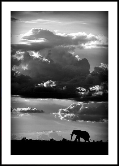 He walks under an African Sky Plakat / 30x40cm