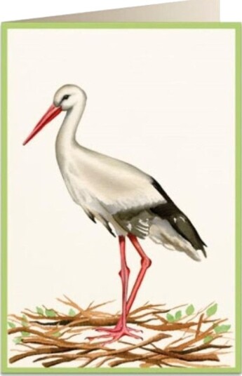 Tassotti Gratulasjonskort B6 + Konvolutt 5824 Stork