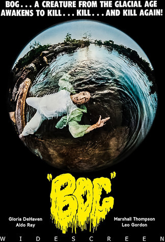 Bog 1979 DVD