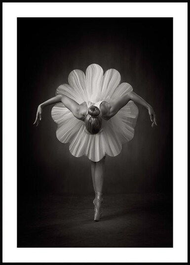 Floral Ballet Plakat Plakat / 70x100cm