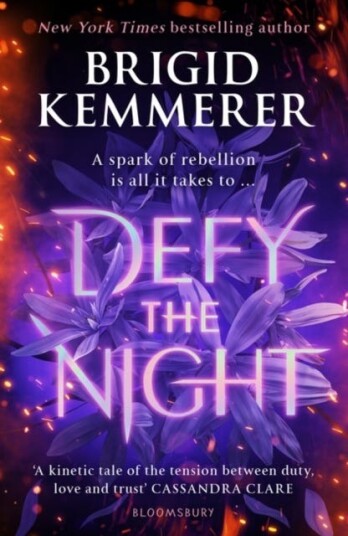 Defy The Night Av Brigid Kemmerer