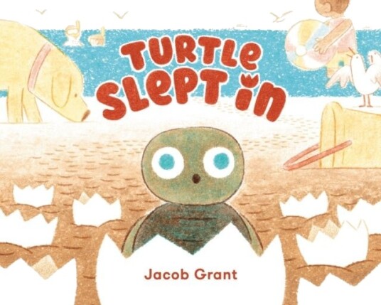 Turtle Slept In Turtle Slept In