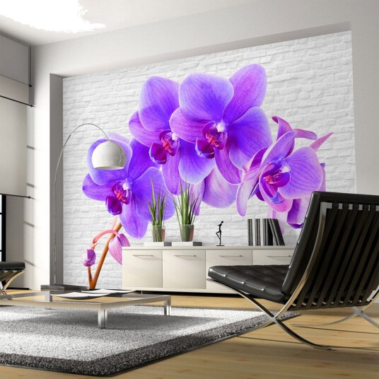 Fototapet Violet Excitation 300x210 - Artgeist sp. z o. o.
