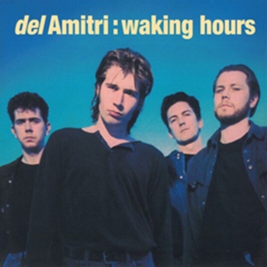 Del Amitri  Waking Hours  LP/Vinyl