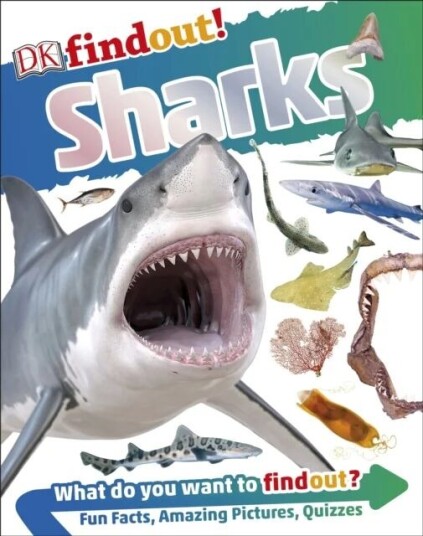 Dkfindout! Sharks Av Dk