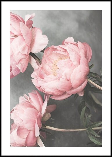 01643 Plakat Plakat / 21x30cm