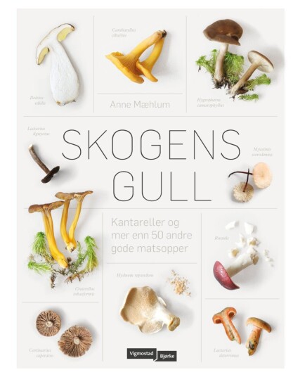Skogens gull Skogens gull
