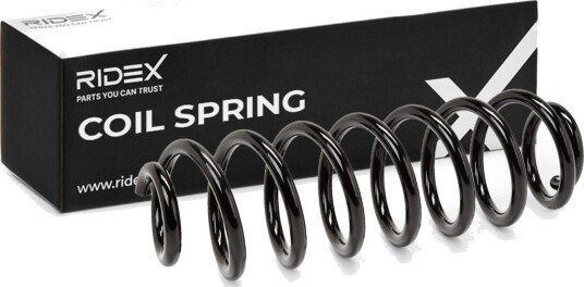 RIDEX 188C0536 Fjær