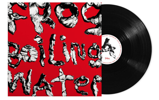 DIIV Frog In Boiling Water LP/Vinyl DIIV Frog In Boiling Water LP/Vinyl