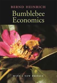 Heinrich Bernd Bumblebee Economics