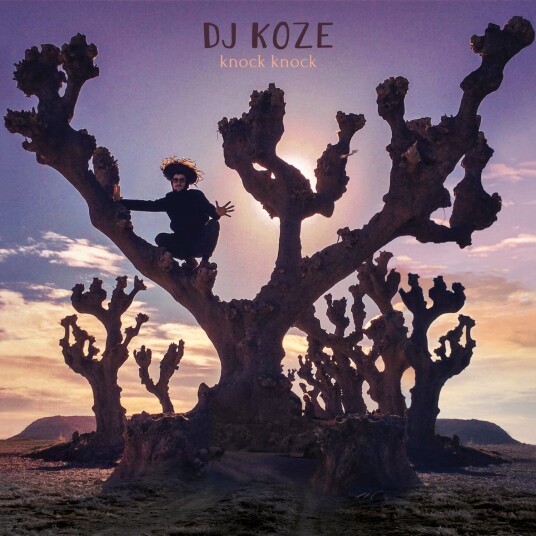 DJ Koze Knock Knock CD DJ Koze Knock Knock CD