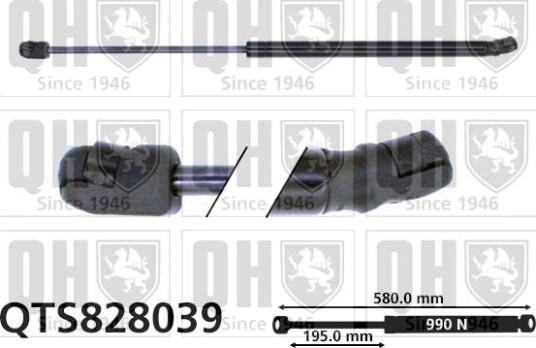 QUINTON HAZELL QTS828039 Baklukedemper
