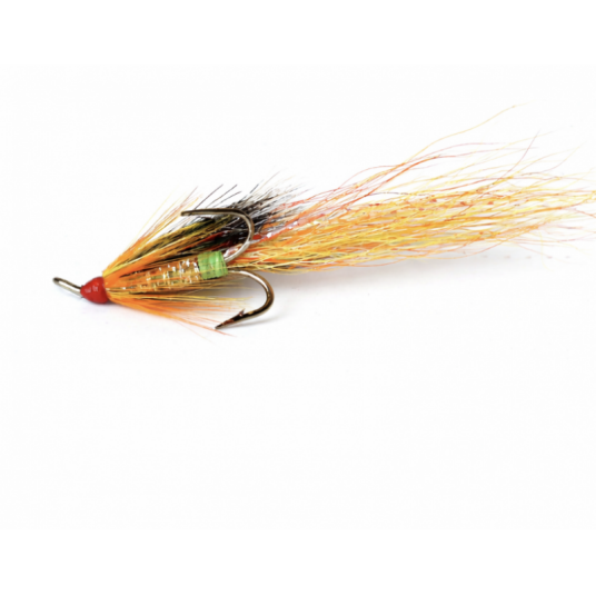Arctic Import Carron Shrimp trippel gull   8