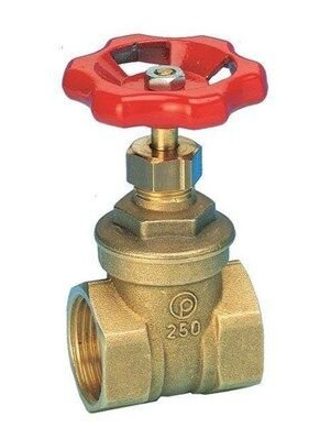 Pettinaroli Brass gate valve 2 1/2