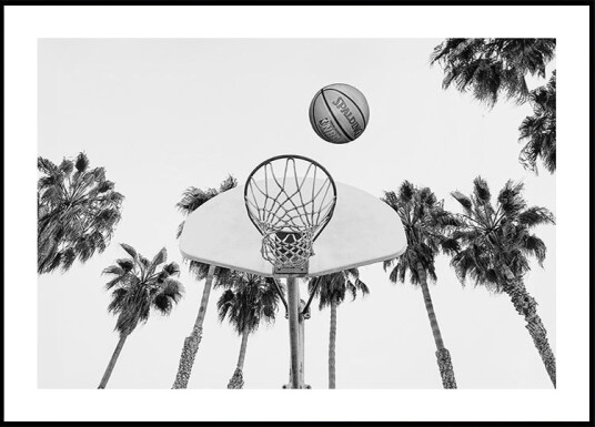 Basketball Plakat Plakat / 40x50cm