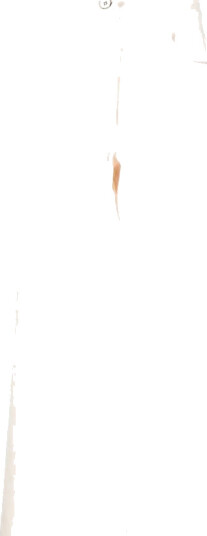 Jil Sander Dame Bukser Beige S,