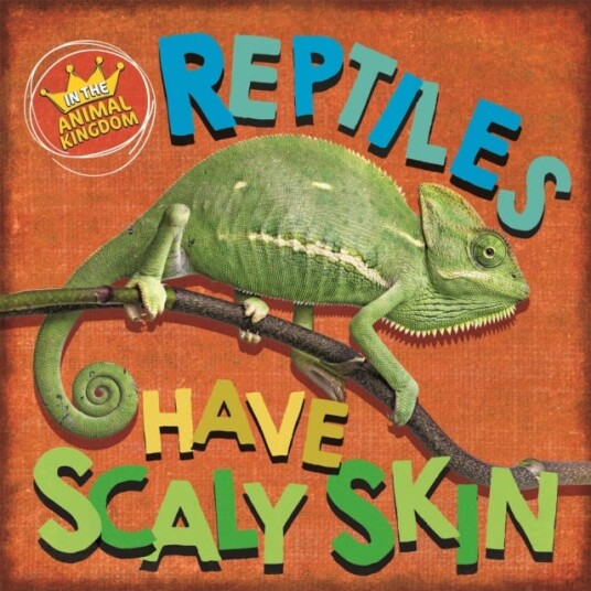 In The Animal Kingdom: Reptiles Have Scaly Skin Av Sarah Ridley In The Animal Kingdom: Reptiles Have Scaly Skin Av Sarah Ridley