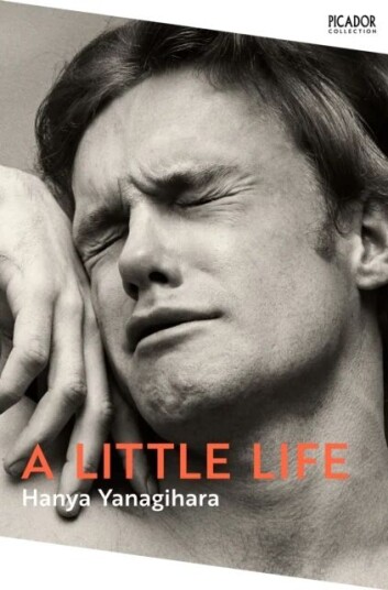 A Little Life Av Hanya Yanagihara