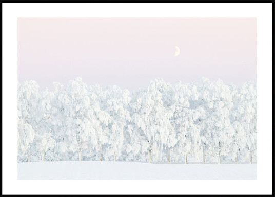 Pink winter magic Plakat Plakat / 70x100cm