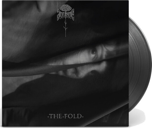 The Fold