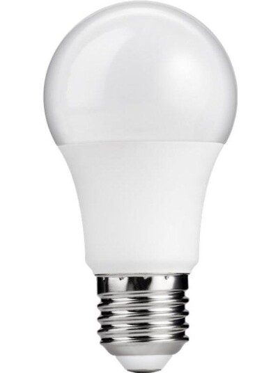 Pro LED Bulb 6 W E27